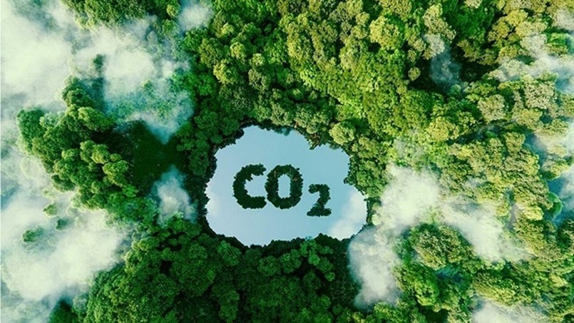 Thủ tướng yêu cầu sớm thiết lập hệ thống đăng ký quốc gia về tín chỉ carbon